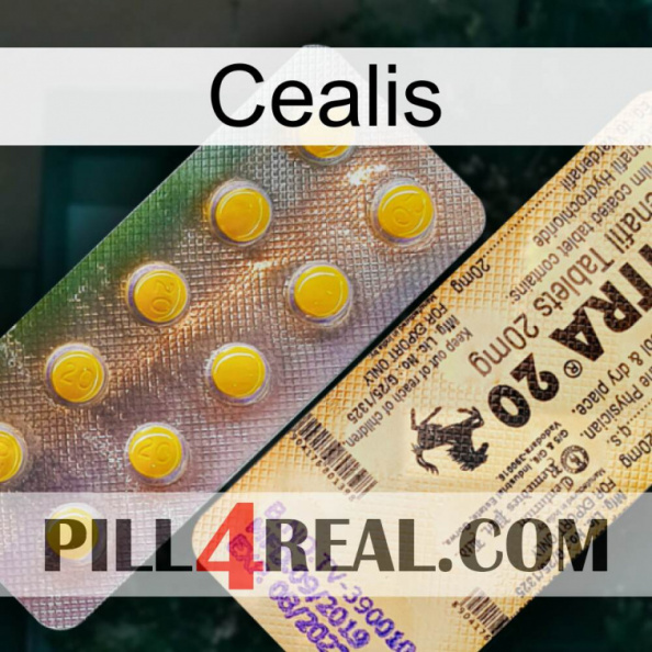 Cealis new06.jpg